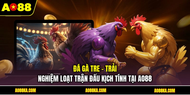 Đá Gà Tre - Trải Nghiệm Loạt Trận Đấu Kịch Tính Tại AO88